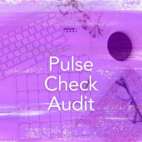 Pulse Check Audit - Paid Offer